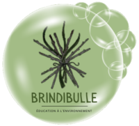 logo brindibulle